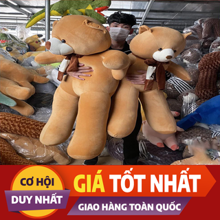 Gấu Bông Teddy Khăn, Thú Nhồi Bông Cao Cấp Quà Tặng Đáng Yêu Chất Liệu Vải Nhung Hàn Quốc Size 1m-1m3