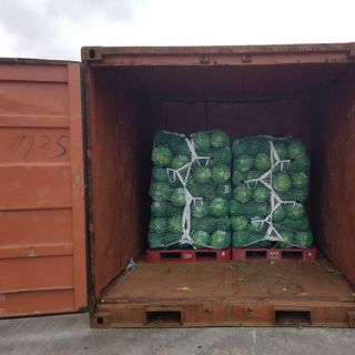Lưới quây pallet