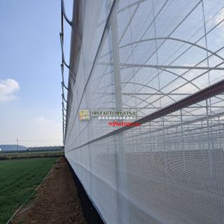 Lưới chắn gió nhà vườn