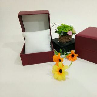 Hộp đồng hồ da