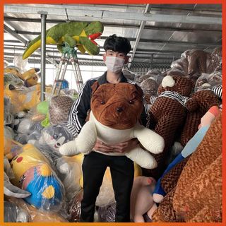 Gấu Bông Chó Ngao Mặt Nhăn Siêu Ngầu [HÀNG ĐẸP GIÁ SỈ] - Chất Đẹp, Đường May Tỉ Mỉ