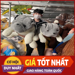 Gấu Bông Chó Ngao Mặt Nhăn Siêu Ngầu [HÀNG ĐẸP GIÁ SỈ] - Chất Đẹp, Đường May Tỉ Mỉ