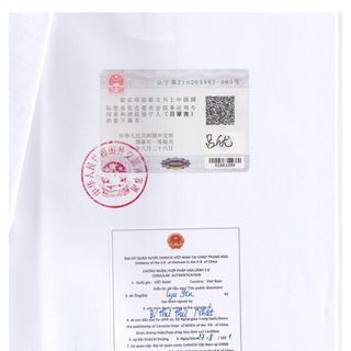 [TÚI] QUE LẤY MẪU DỊCH TỴ HẦU SHANDONG CHENGWU - 200 QUE/TÚI