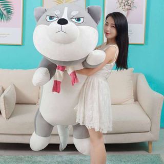 Chó Bông Husky Gấu Bông Chó Husky Gấu Bông Chó Alaska Mềm Mịn Co Giãn 4 Chiều Size 50 - 1m5
