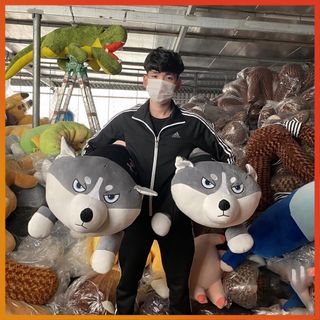 Chó Bông Husky Gấu Bông Chó Husky Gấu Bông Chó Alaska Mềm Mịn Co Giãn 4 Chiều Size 50 - 1m5