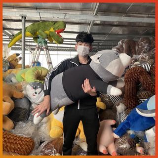 Chó Bông Husky Gấu Bông Chó Husky Gấu Bông Chó Alaska Mềm Mịn Co Giãn 4 Chiều Size 50 - 1m5