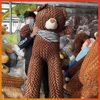 Gấu bông Teddy, gối ôm hình thú nhồi bông siêu to khổng lồ 95cm-1m8