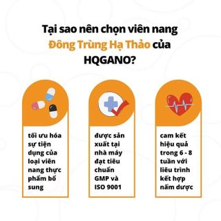 ĐÔNG TRÙNG HẠ THẢO VIÊN NANG - HQGANO