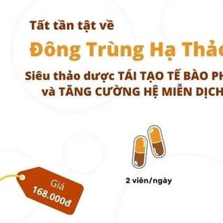 ĐÔNG TRÙNG HẠ THẢO VIÊN NANG - HQGANO