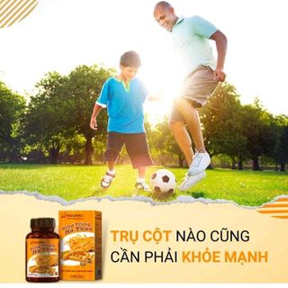 ĐÔNG TRÙNG HẠ THẢO VIÊN NANG - HQGANO