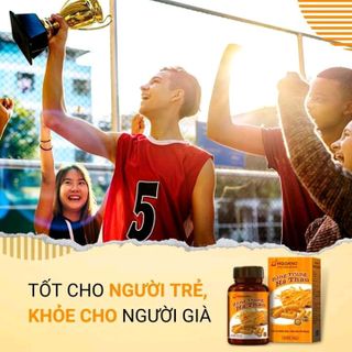 ĐÔNG TRÙNG HẠ THẢO VIÊN NANG - HQGANO