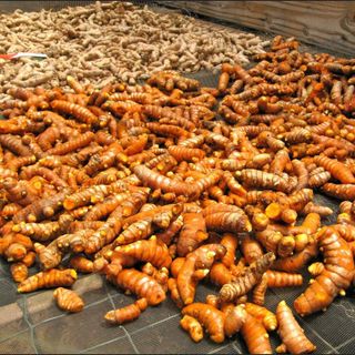 Tinh bột nghệ nguyên chất, tinh bột nghệ vàng nguyên chất 1kg