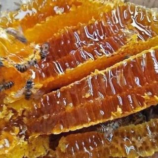 Mật ong nguyên chất hoa cà phê Đak Lak nguyên chất 1lit