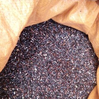 1kg gạo nếp cẩm quê chất lượng giá rẻ