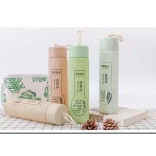 bình nước thủy tinh bọc nhựa lúa mạch cao cấp mẫu mới
