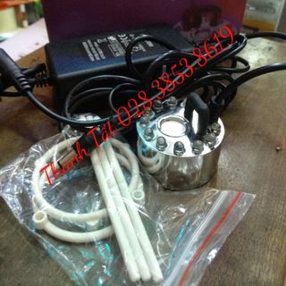 Tạo Khối Thuỷ Sinh