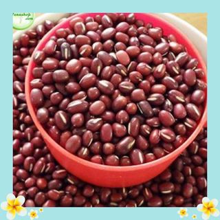 Đậu đỏ – thực phẩm tuyệt vời dưỡng sắc, an thần, thông khí huyết chất lượng giá rẻ giá sỉ