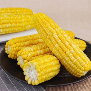 Gói 10 gram Hạt giống Bắp Mỹ, Ngô Ngọt - Hạt giống rau củ quả
