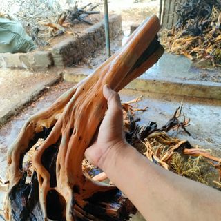 Hải sa quỳ . 1kg 100k . 5kg 400k . 10kg 700k