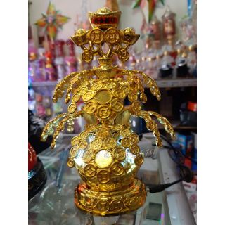 Cây Tiền Xoay giá sỉ