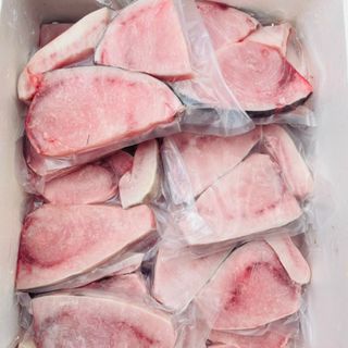 Cá Cờ Kiếm file
