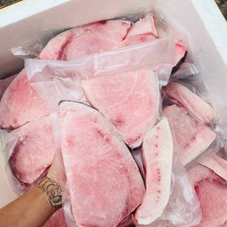 Cá Cờ Kiếm file