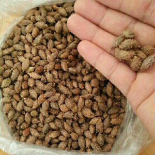 1kg Hạt ké đầu ngựa hỗ trợ điều trị bướu cổ chất lượng giá rẻ
