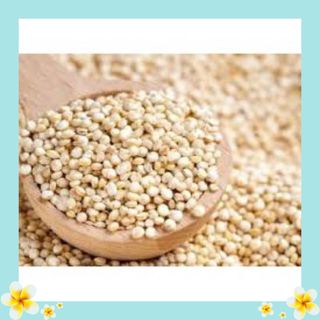 -Hạt Ý Dĩ ( Hạt Bo Bo) chất lượng giá rẻ
