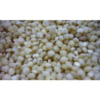 -Hạt Ý Dĩ ( Hạt Bo Bo) chất lượng giá rẻ