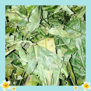 Chè Cỏ – Bài thuốc lợi sữa, thơm sữa cho Bà Mẹ Bỉm Sữa chất lượng giá rẻ
