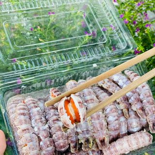 Thịt Tôm Tít Gạch