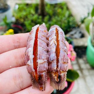 Thịt Tôm Tít Gạch