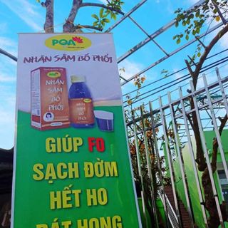 PQA Nhân Sâm Bổ Phổi