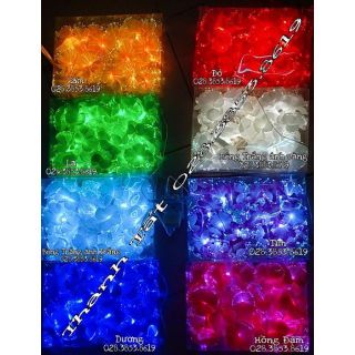 HOA CƯỚC PHÁT SÁNG giá sỉ