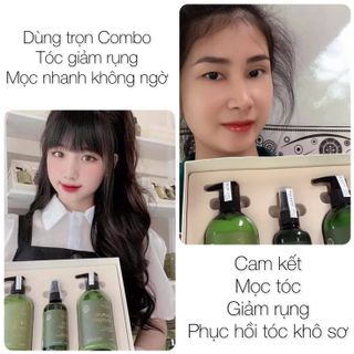Bộ chăm sóc tóc cao cấp Vijully dầu gội bưởi, dầu xả dừa hoa cúc, xịt bưởi chính hãng