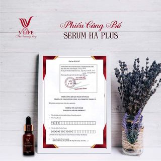 Serum trị mụn thâm nám trắng da se khít lỗ chân lông Vlife Ha Plus chính hãng