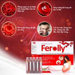 THỰC PHẨM GIÚP BỔ SUNG SẮT FEROLLY - DÂN KHANG