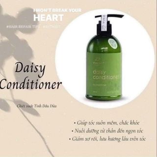 Dầu gội bưởi trị rụng tóc, kích mọc tóc nhanh