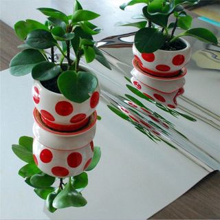 Gương dán tường kích thước 50*100 cm, gương dán tường cuộn, giá rẻ