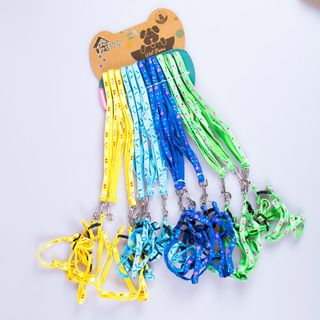 Bộ Dây Dắt, Vòng Cổ 12 Chiếc Dành Cho Chó Mèo – Mã VCDD180