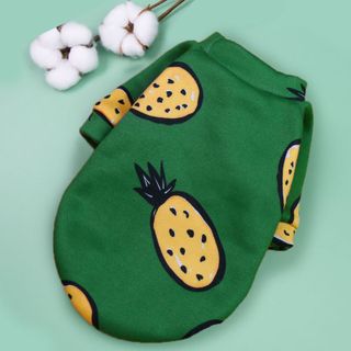 Bộ Quần Áo Cho Chó Mèo Hoạt Hình Teddy Siêu Ngộ Nghĩnh – Mã QACC149