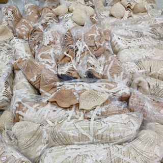 MŨ CÓI CHO BÉ - SUUHOUSE