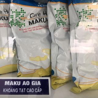 Vi sinh dùng xử lý hồ
