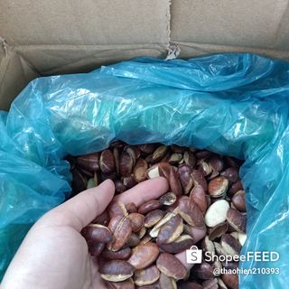 500G Hạt Kơ Nia KƠ'NIA Rừng Rang Nguyên Vị Còn Vỏ - Hộp Tròn Dẹp - Cam Kết Hàng Chất Lượng - Thơm Ngon