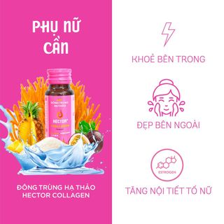Đông trùng hạ thảo hector collagen