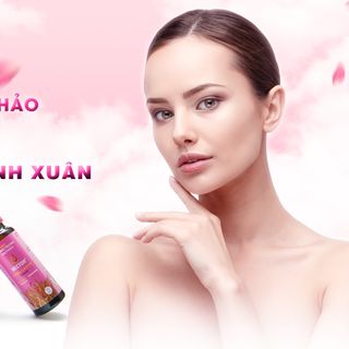 Đông trùng hạ thảo hector collagen