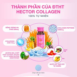 Đông trùng hạ thảo hector collagen