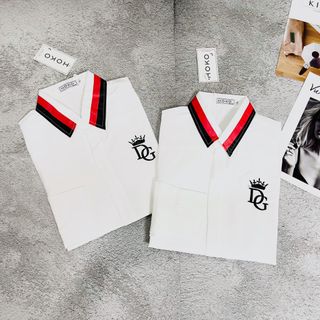 SƠ MI NAM DÀI TAY IN LOGO LÁ CỔ MÀU