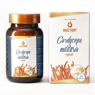 Viên nang đông trùng hạ thảo Hector