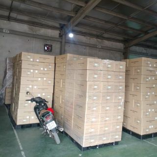 Sỉ Nước Hồng Sâm Hàn Quốc Linh Chi Nhung Hươu